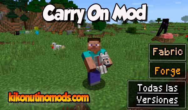 Carry On mod Minecraft para todas las versiones Descargar